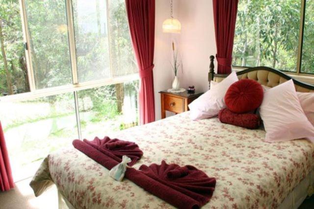 Hillside Country Retreat Bed and Breakfast Gold Coast Habitación foto